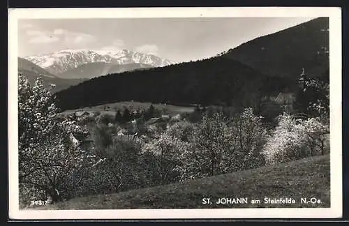 AK St. Johann am Steinfelde, Ortsansicht mit Bäumen in Frühlingsblüte