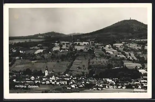 AK Hartberg, Panorama