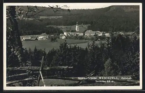 AK Wenigzell /Oststmk., Ortsansicht aus der Vogelschau mit Waldvordergrund