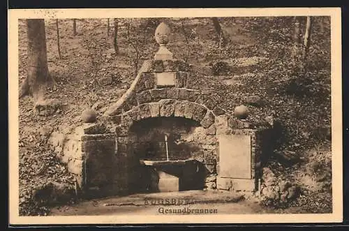 AK Augsburg, Gesundbrunnen im Wald