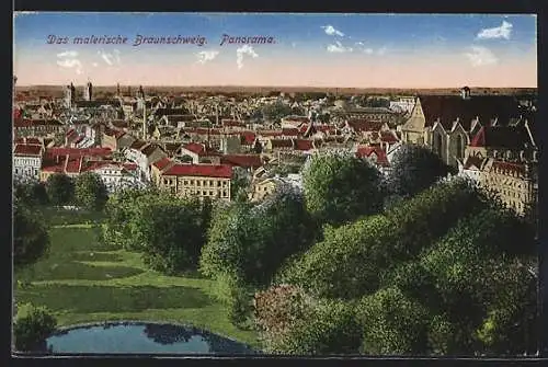 AK Braunschweig, Panorama mit Teich
