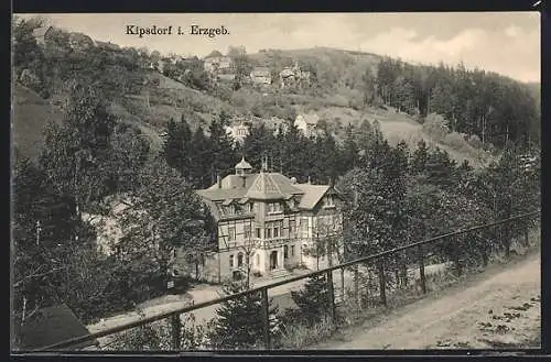 AK Kipsdorf, Ortsansicht mit Hotel