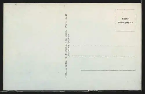 AK Braunschweig, Landestheater mit Strassenpartie
