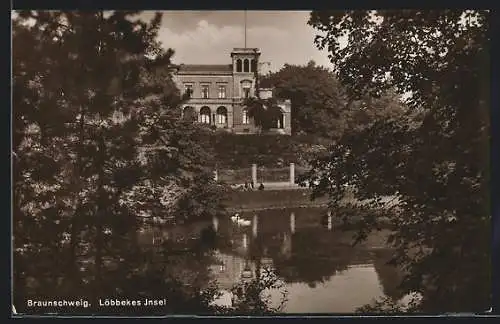AK Braunschweig, Löbbekes Insel mit Schwänen