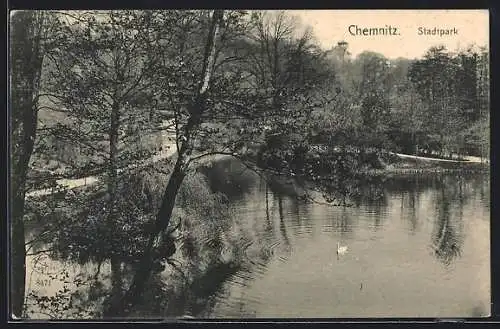 AK Chemnitz, Stadtpark mit Teich und Schwan