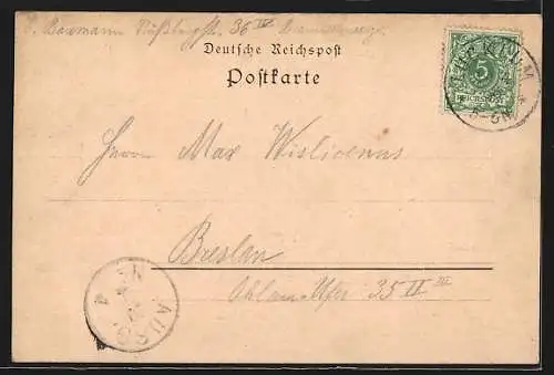 AK Braunschweig, Strassenpartie mit Löwensäule