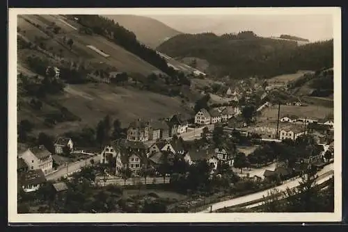 AK Alpirsbach-Rötenbach, Ortsansicht aus der Vogelschau