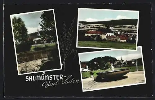 AK Salmünster-Bad Soden, Teilansicht, Brücke und Brunnen