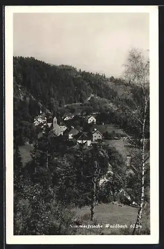 AK Waldbach, Teilansicht mit Kirche