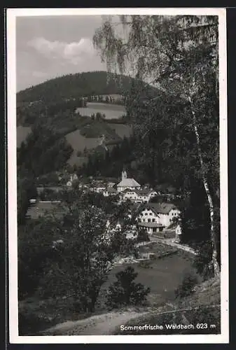 AK Waldbach, Teilansicht mit Kirche