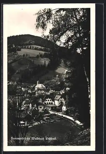 AK Waldbach /Oststmk., Teilansicht mit Kirche