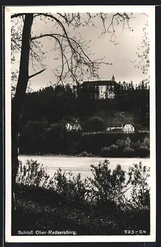 AK Ober-Radkersburg, Schloss vom anderen Flussufer gesehen