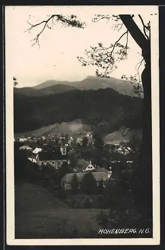 AK Hohenberg /N.-Ö., Teilansicht mit Kirche
