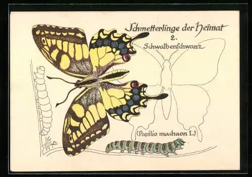 AK Schwalbenschwanz, Schmetterlinge der Heimat