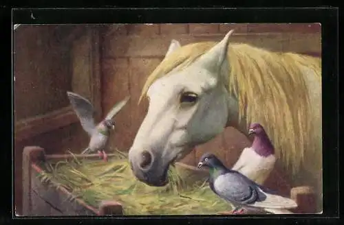 Künstler-AK Pferd und Tauben am Futtertrog