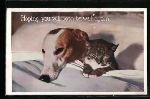 AK Hund und Katze in einem Bett