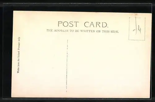 AK Poltalloch Terriers