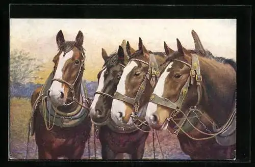 AK Vier Arbeitspferde