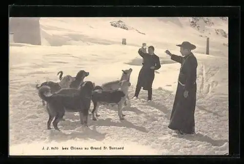 AK Les Chiens au Grand St. Bernard