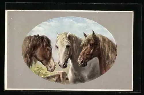 AK drei unterschiedliche Pferdeköpfe mit langen Mähnen