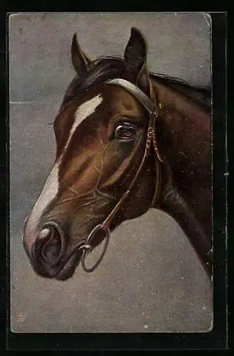 Künstler-AK Braunes Pferd mit weisser Blesse im Zaumzeug