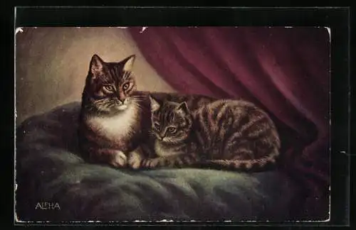 AK Zwei getigerte Katzen auf einem Kissen