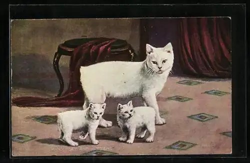 AK Weisse Katzenmutter mit zwei Jungen