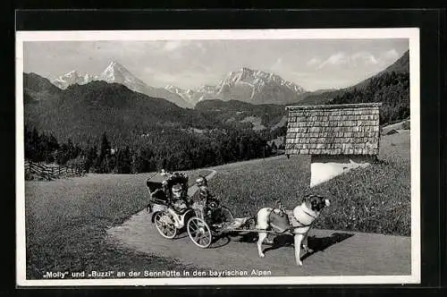 AK Hundewagen mit Affe und Puppe in den bayrischen Alpen