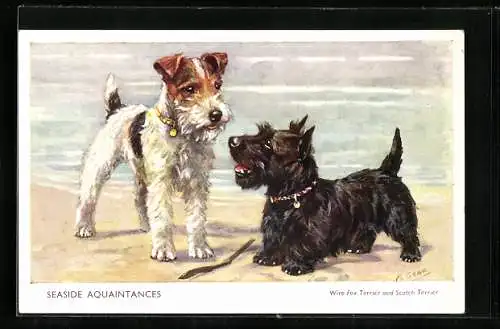 AK Seaside Aquaintances, Wire Fox Terrier and Scotch Terrier