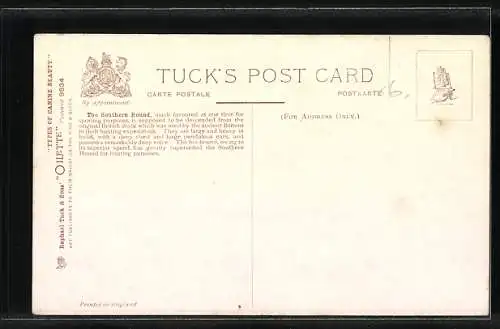 AK zwei Southern Hounds