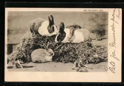 AK Vier Kaninchen auf einem Strohballen