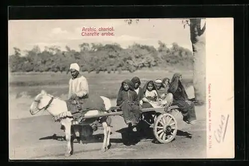 AK Arabic chariot, Arber mit Eselgespann