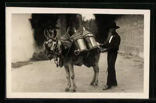 AK spanischer Mann mit bepacktem Esel, El Granadino mas tipico, Un aguador