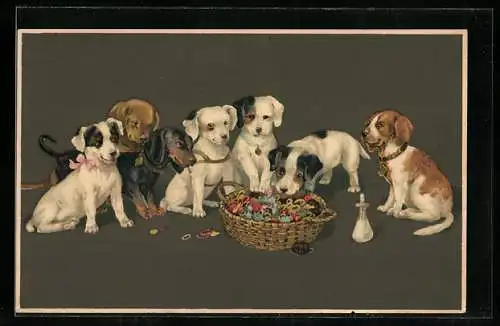 Künstler-AK Dackel und Hundewelpen untersuchen einen Korb