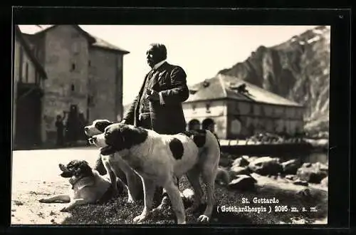 AK St. Gottardo, Herr im Dreiteiler mit Bernhardinern