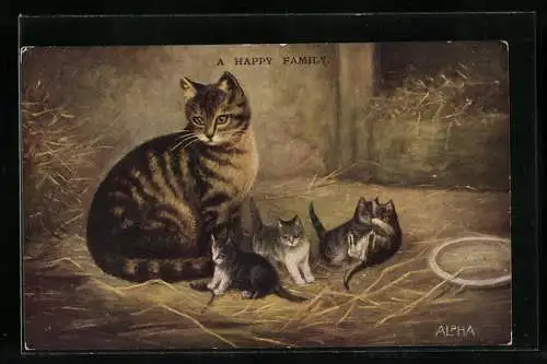 AK Getigerte Katzenmutter mit Jungen im Stall