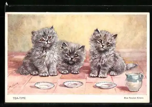 Künstler-AK Blue Persian Kittens, Perser-Kätzchen