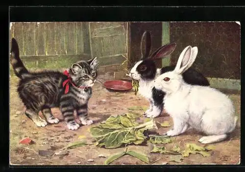 AK Junge Katze und zwei Kaninchen
