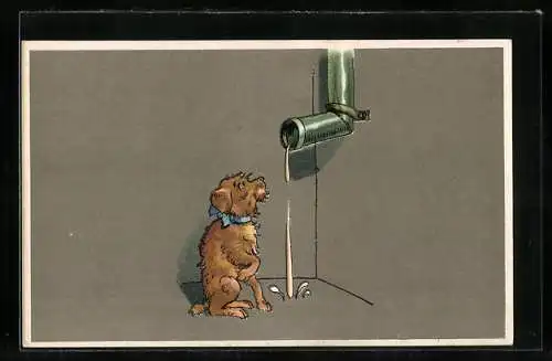 Präge-Lithographie Kleiner Hund vor tropfendem Regenrohr