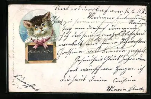 Lithographie Junge Katze mit Schultafel