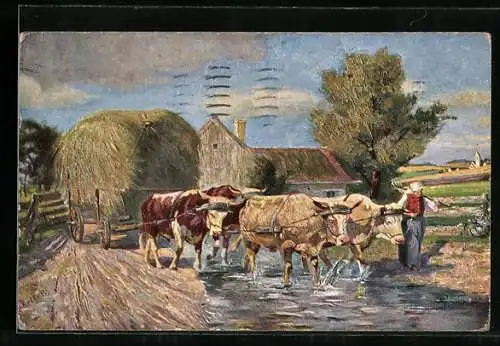 AK Bäuerin mit Ochsen-Gespann und Heuwagen auf einer überschwemmten Strasse