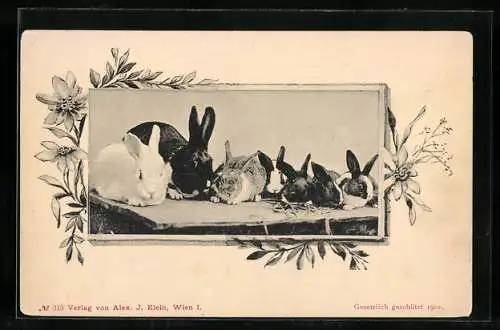 AK Kaninchen auf dem Dach eines Kaninchenstalls