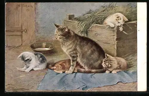 AK Katzenfamilie in einem Stall