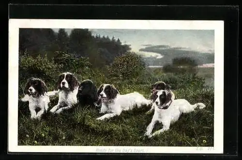 AK Ready for the Day`s Sport, Jagdhunde