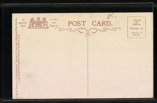 AK Ready for the Day`s Sport, Jagdhunde