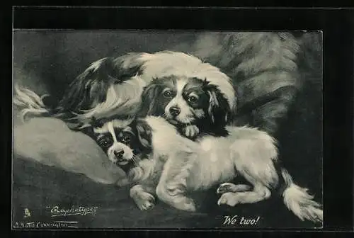AK We two!, Zwei Pekinesen auf einem gemütlichen Lager