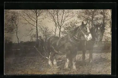 AK Bauer beim Pflügen mit Pferdegespann