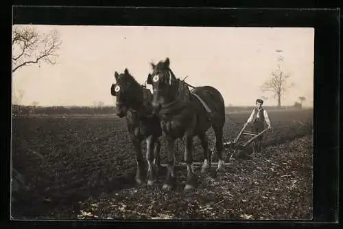 AK Bauer beim Pflügen des Ackers mit seinem Pferdegespann