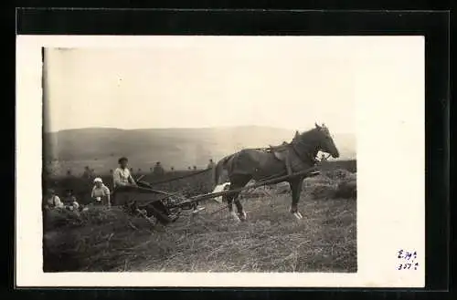 Foto-AK Halm i. T., Familie Wilhelm Müller bei der Ernte, Pferdewagen, 1926