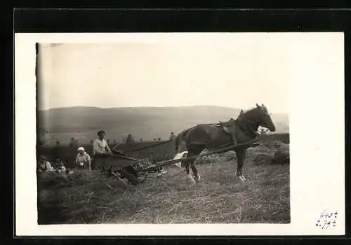 Foto-AK Halm i. T., Familie Wilhelm Müller bei der Ernte mit Pferdewagen, 1926